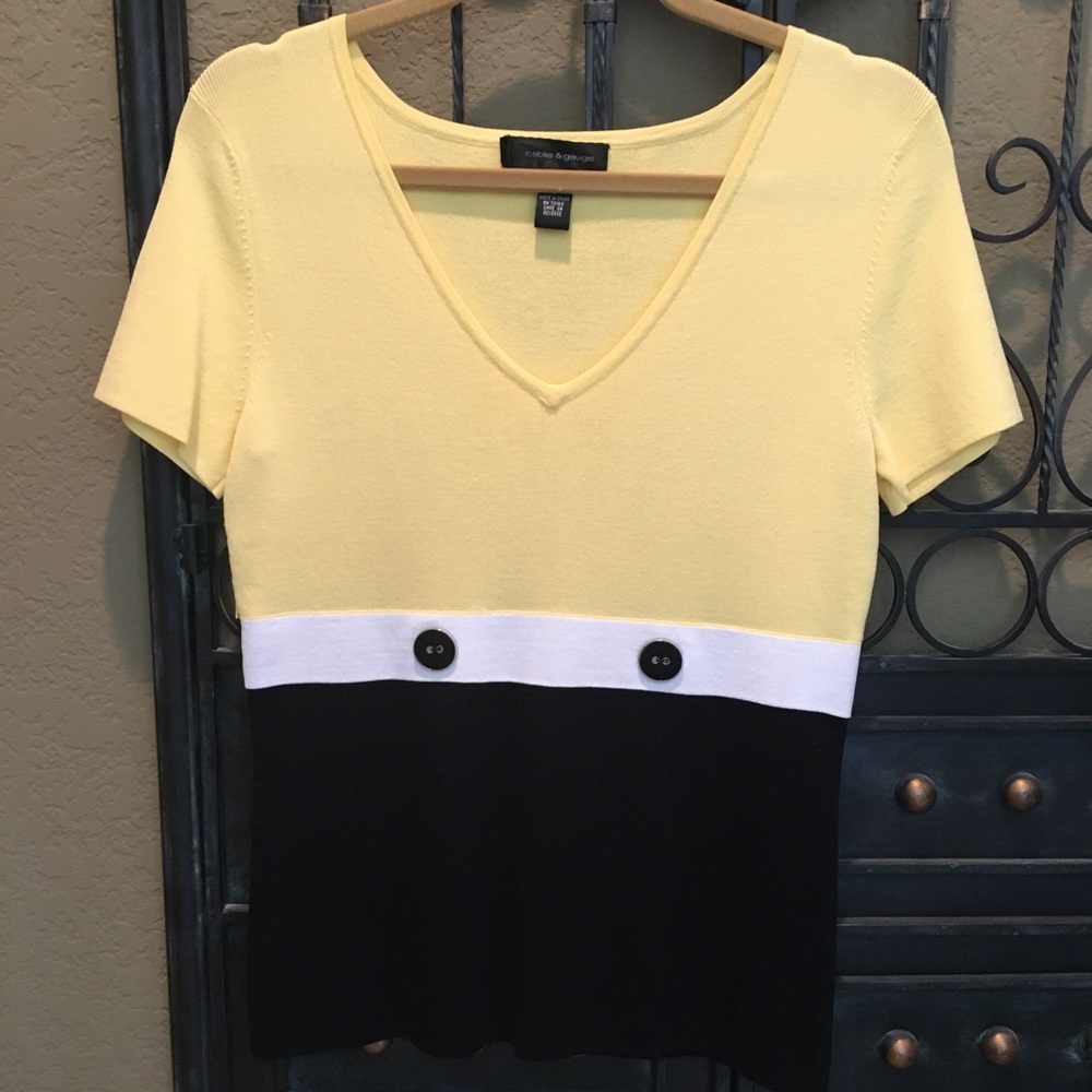 Dressy Short Sleeve Top